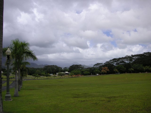image050.jpg