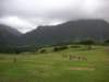 image057_small.jpg