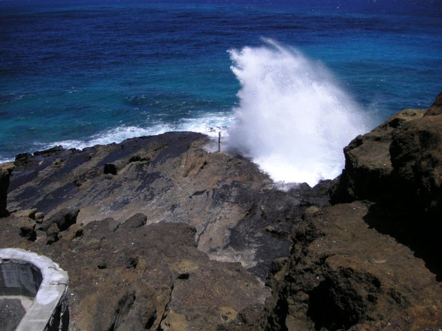 image099.jpg