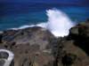 image099_small.jpg