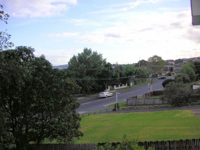 aucklandsuburb.jpg