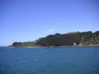 wellingtonharbour2_small.jpg