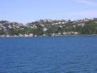 wellingtonharbour_small.jpg